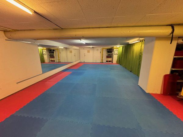 Training Sport Yoga Raum in Zürich