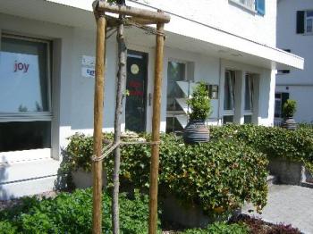 Yoga-Raum, Wellness-Raum in Spreitenbach