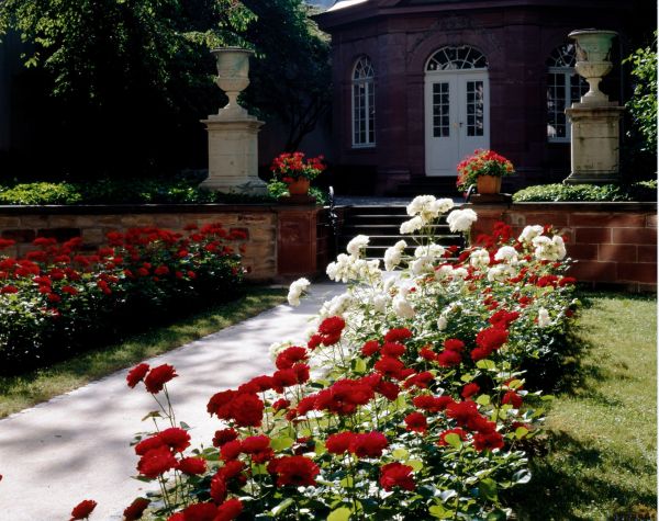 Foyer - Garten und Pavillon - Haus zum Kirschgarten - Historisches Museum Basel in Basel