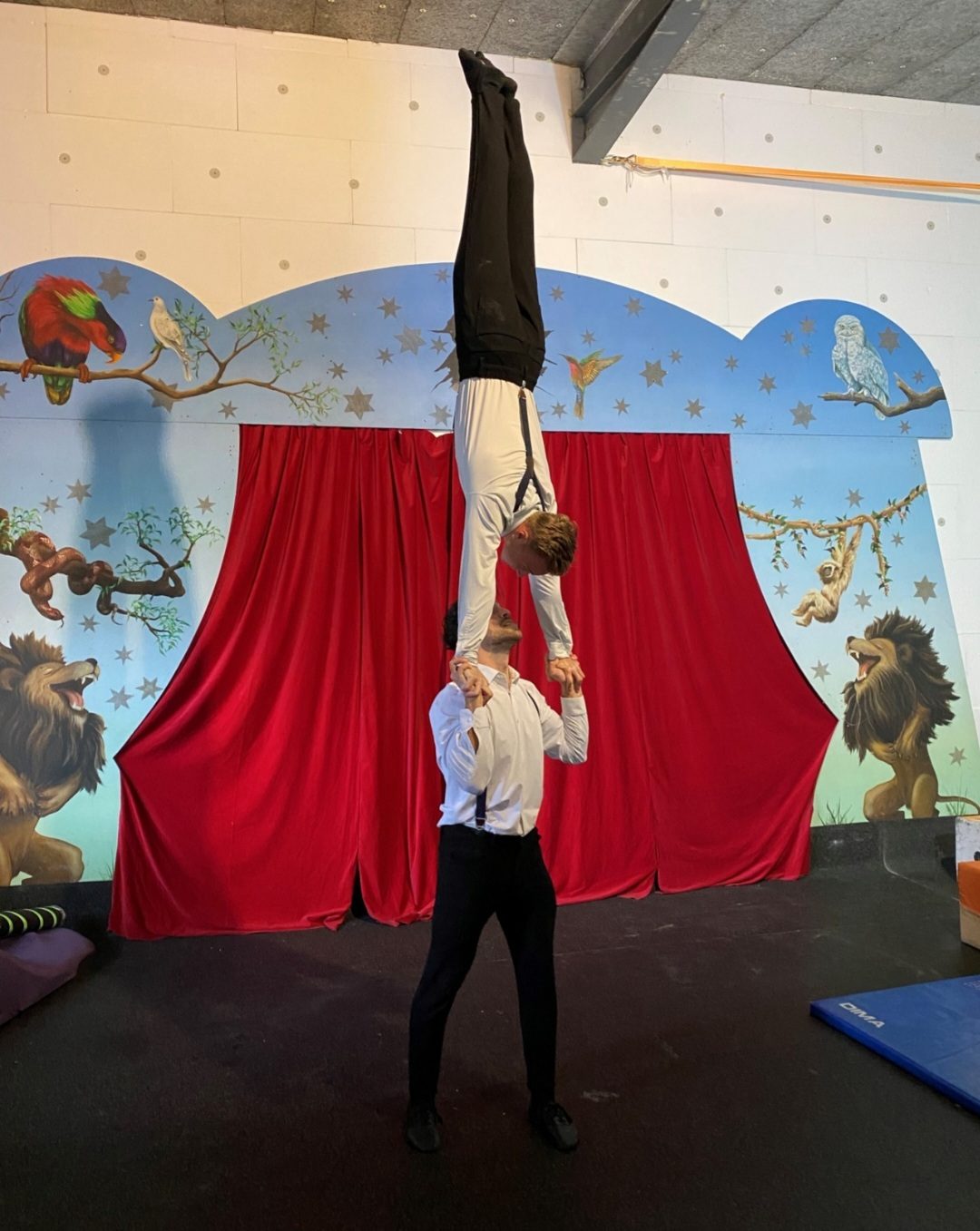 Circus Academy, weiteres Bild