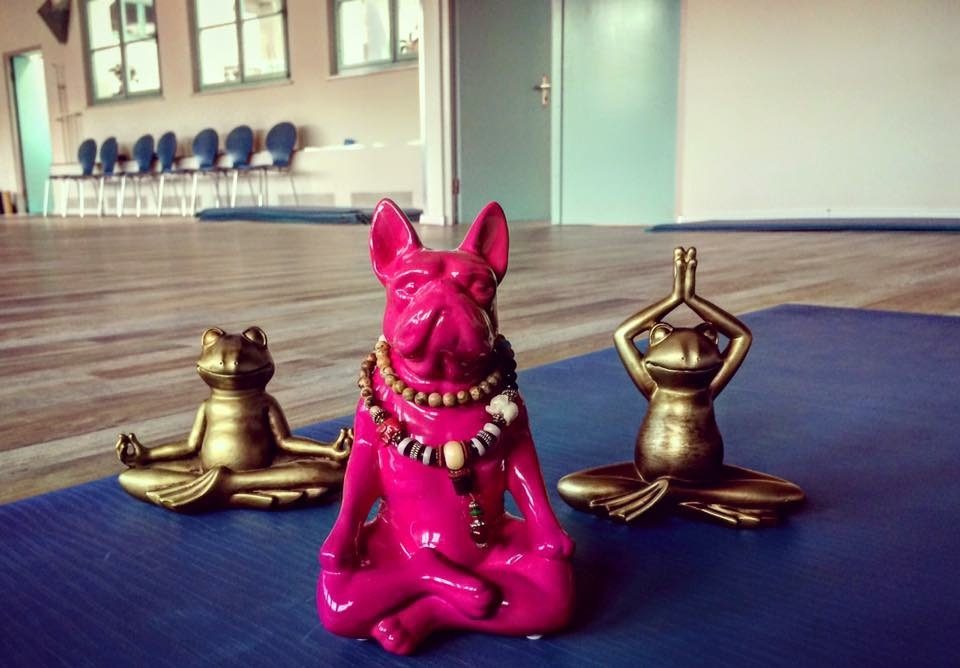 YOGA8sam, weiteres Bild